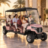 Six-Seater LSV for Dubai Resorts Pink LSV 6-seater electric golf cart at a Dubai beachfront resort at dusk