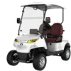 sun-cart-mxv-golf-cart Rear three-quarter view of SUN-CART MXV 2+0 golf cart with golf bag holder